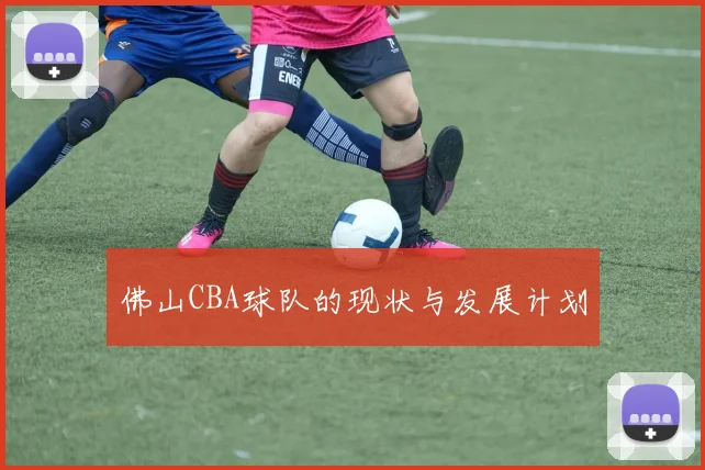 佛山CBA球队的现状与发展计划