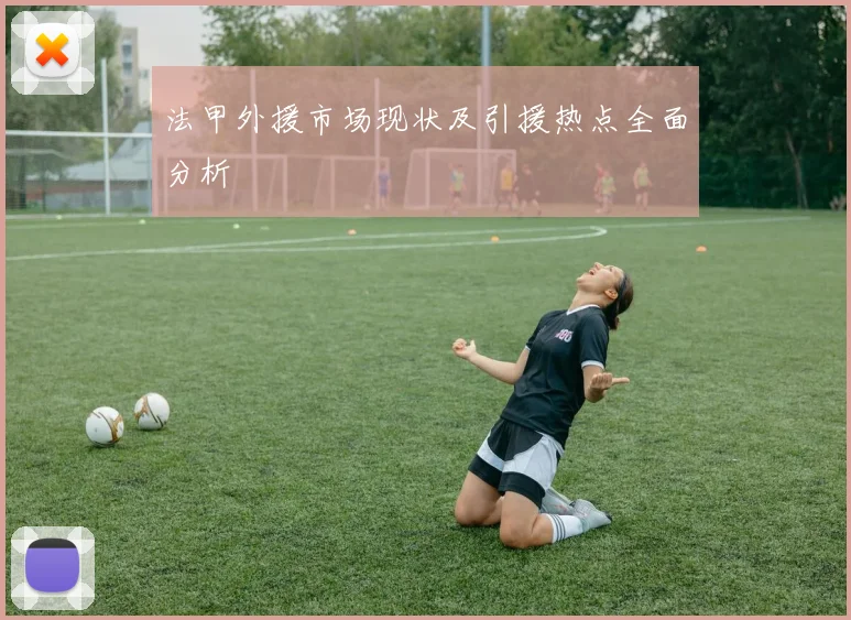 法甲外援市场现状及引援热点全面分析