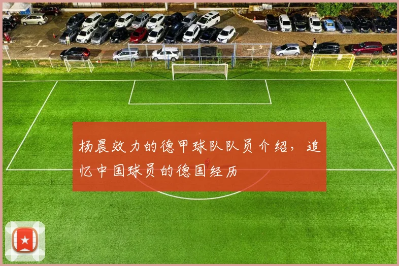 杨晨效力的德甲球队队员介绍，追忆中国球员的德国经历