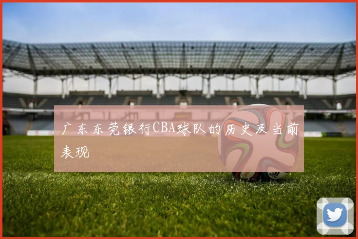 广东东莞银行CBA球队的历史及当前表现