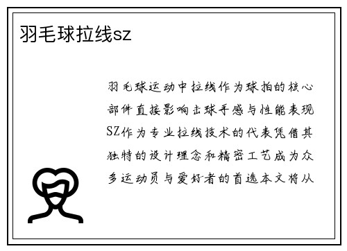 羽毛球拉线sz