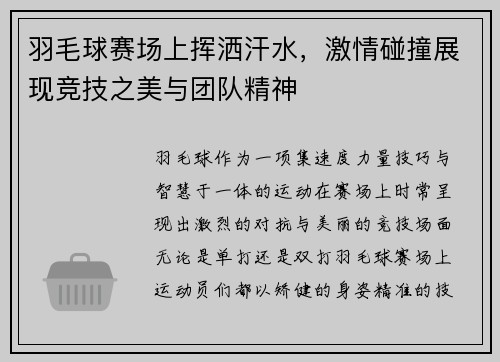 羽毛球赛场上挥洒汗水，激情碰撞展现竞技之美与团队精神